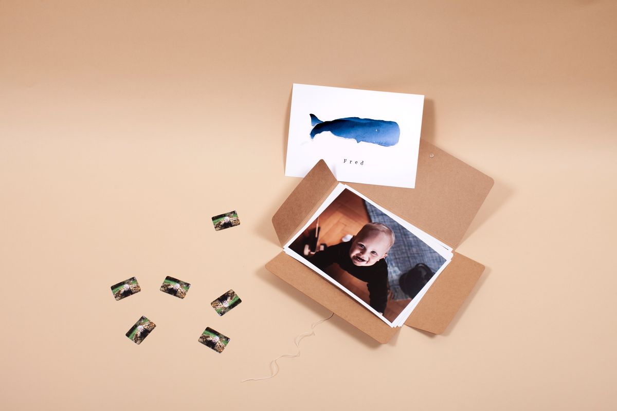 Eine Papiermappe mit 5 Fotos, Stickerbogen und Tierkarte.