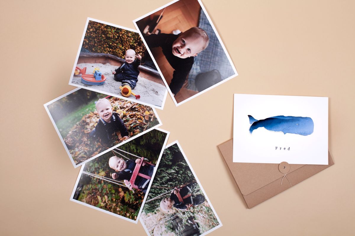 Fünf Fotos, die auf einem Tisch liegen, und eine Tierkarte mit einem blauen Wal und dem Namen Fred.